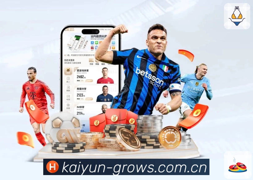 开云平台展示图